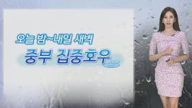[날씨] 곳곳 요란한 비…수도권·영서 집중호우