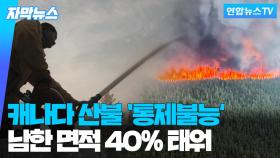 [자막뉴스] 걷잡을 수 없이 확산하는 캐나다 산불…남한 면적 40% 태워