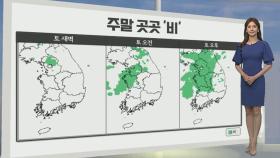 [생활날씨] 주말 낮더위 속 곳곳 비…모레 아침까지 수도권 70㎜ 이상