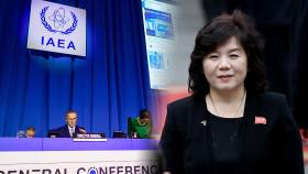 IAEA '북핵 중단 결의'에 북한 