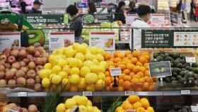 먹거리 물가 '들썩'…과일·채소값 상승 주요국 중 1위