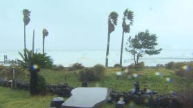 새 태풍 이름 '고사리·호두'…'힌남노'는 퇴출