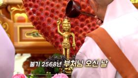 [영상구성] 부처님 오신날 '마음의 평화, 행복한 세상