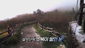 [영상구성] 5월에 눈이라니…강원 산지 때아닌 '대설주의보'