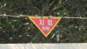 북한군, 비무장지대 내 지뢰 매설·철조망 보강 작업