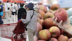 소비자물가 두 달째 2%대…과일값 고공행진은 여전