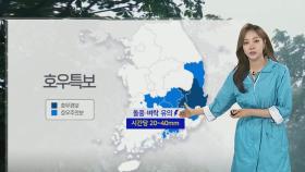 [날씨] 전북·영남 세찬 비…시간당 20~40㎜