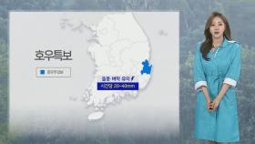 [날씨] 영남·전북 강한 비, 시간당 20~40mm…전국 강풍 유의
