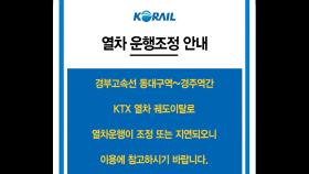 KTX 열차, 경부고속선 동대구역-경주역 구간서 탈선