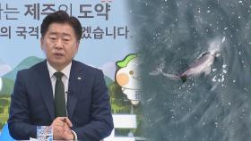 제주도, 남방큰돌고래에 '법적 권리' 부여 추진