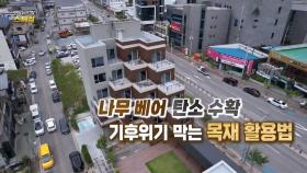 [연합뉴스TV 스페셜] 나무 베어 탄소 수확…기후위기 막는 목재 활용법