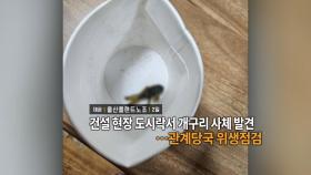 [영상구성] 건설현장 도시락에 개구리 사체…관계당국 위생점검 外