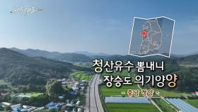 [풍경여지도] 청산유수 뽐내니 장승도 의기양양 - 충남 청양