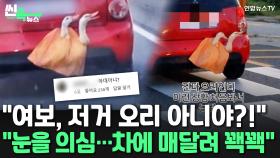 [씬속뉴스] 고속도로서 오리 매달고 광폭질주?!…