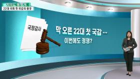 [여의도풍향계] 정쟁 되풀이에 아이돌까지?…22대 첫 국감의 풍경