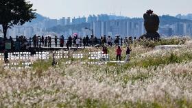 청명한 가을에 은빛 억새 물결…서울억새축제 한창