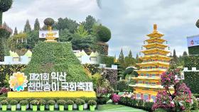 가을의 정취에 흠뻑…'익산 천만송이 국화축제' 개막