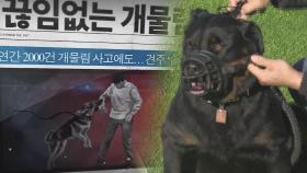 공격성 강하면 안락사?…맹견 사육허가제 논란에 1년 유예키로