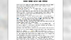 '놀랄 만큼 못생겨' 하이브 아이돌 보고서 국감서 논란