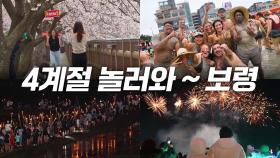 [리부팅 지방시대] 사계절 놀러 와~ 보령