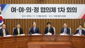 여야의정협의체 