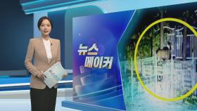 [뉴스메이커] 수원 이어 이번엔 의왕에서 '사슴 출몰'