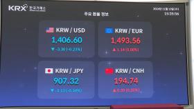 원ㆍ달러 환율 장중 1,410원 상회…2년여만 최고