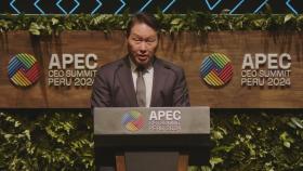 내년 경주서 'APEC CEO 서밋'…의장에 최태원