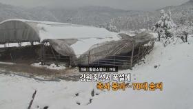 [영상구성] 강원 횡성서 폭설에 축사 붕괴…70대 숨져 外