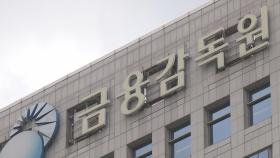 계엄 이후 정치테마주 급등락…금감원, 특별단속반 가동