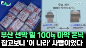 [씬속뉴스] 부산으로 들어온 100㎏ 코카인…알고보니 '이 나라'에서 보냈다