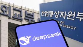 과한 데이터 수집 논란에…외교·산업부도 딥시크 접속 차단