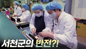 [리부팅 지방시대] 서천군의 반전?!