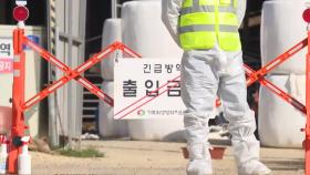 전남 구제역 확산…정부, 이동 제한·백신 접종 총력