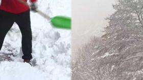 강원 동해안 기습 폭설…최고 30㎝ 쌓여