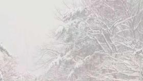 매서운 꽃샘추위에 폭설…강원 영동 대설경보