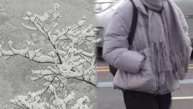 봄에서 다시 겨울로…꽃샘추위에 강원 영동 폭설