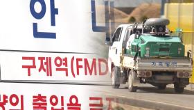 전남 영암 한우농장 3곳서도 구제역…국내 총 8건
