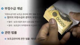 유령회사·라벨갈이로 보조금 부정수급…적발 역대 최대
