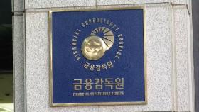 금감원, 오늘 홈플러스 대주주 MBK파트너스 검사 착수
