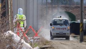 전남 영암서 구제역 2건 추가 발생…총 12건 확진