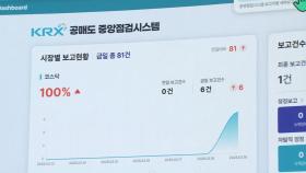 금감원, 공매도 전산시스템 시연…