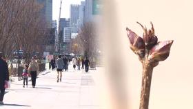 당분간 맑고 온화…산불 주범 '양간지풍' 주의