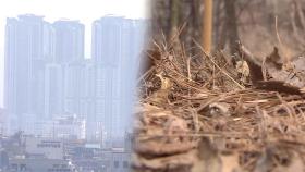주말 따뜻하지만 초미세먼지 기승…동해안은 산불 주의