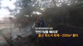 [영상구성] '천연기념물 제65호' 울산 목도서 화재…200㎡ 불타 外