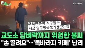 [씬속뉴스] 