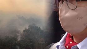 산불 장기화에 연기 유해물질 급증 …호흡기 건강 비상