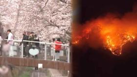산불 장기화에 대한민국 올스톱…예정된 행사 줄취소