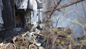 울산시장, 