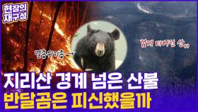 [현장의재구성] 역대 최악 산불...'국립공원 1호' 지리산을 지켜라!